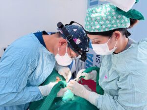 So sánh các hãng Implant: Straumann, Neodent, Dentium…